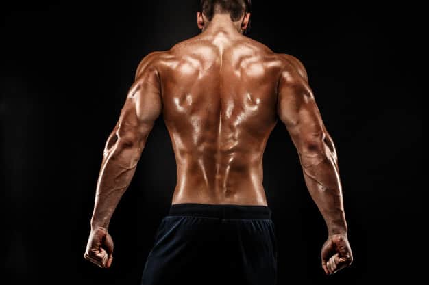 muscles-back-dianabol