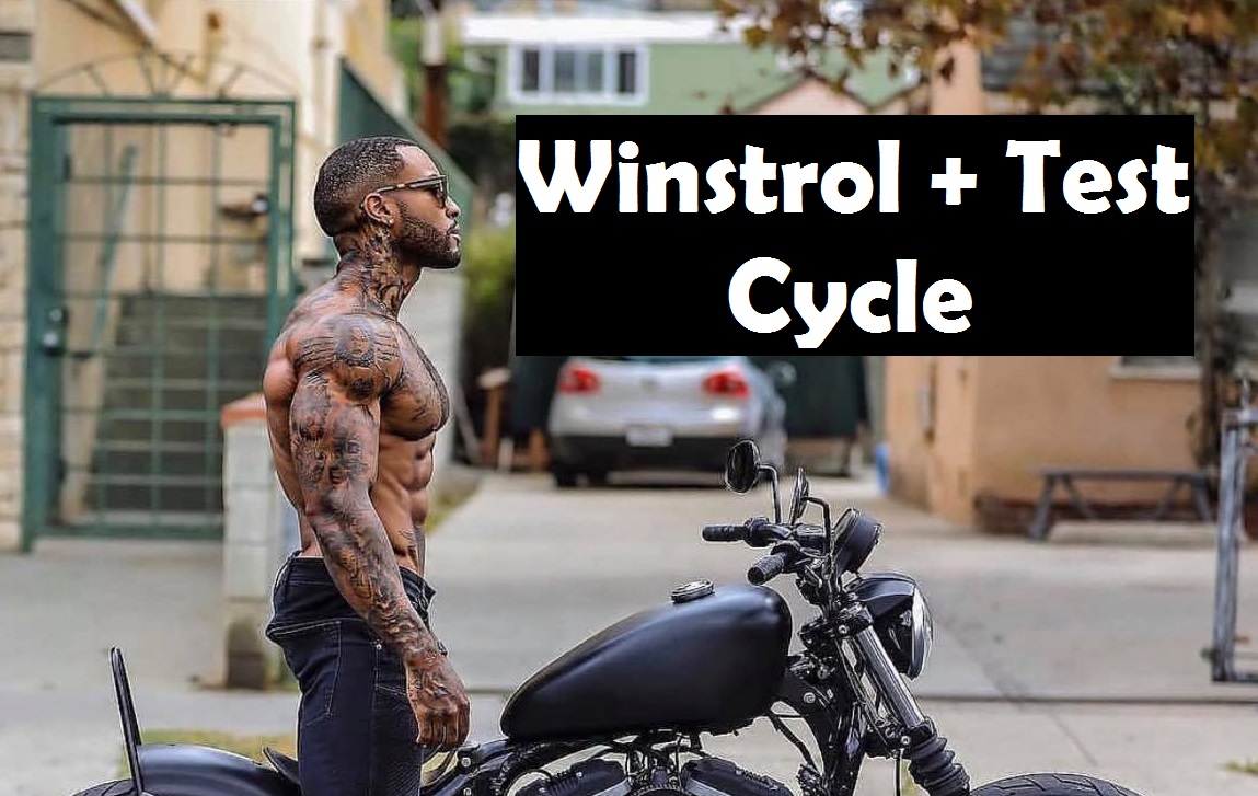 Test Winstrol Cycle | Buy Winstrol | Buy Testosterone | CycleGear.to