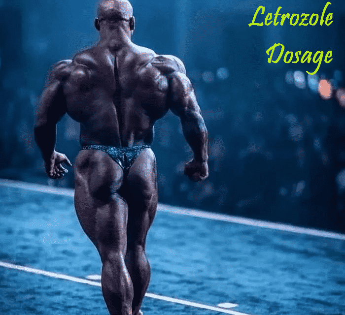 The Impact Of 1 ml boldenone On Your Customers/Followers