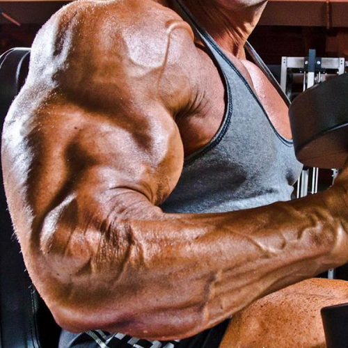 Best-Muscle-Building-steroids-for-huge-arms