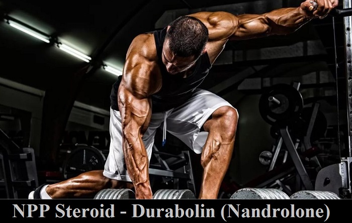 NPP-Steroid-Durabolin-Nandrolone-cyclegear