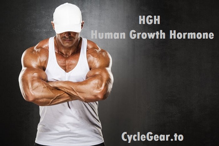 hgh-human-growth-hormone-cyclegear