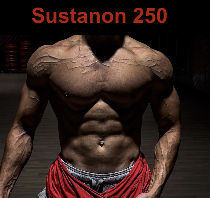 Sustanon-250-cyclegear-buy