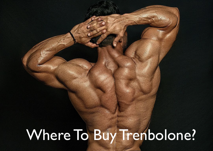 Where-To-Buy-Trenbolone-Cyclegear