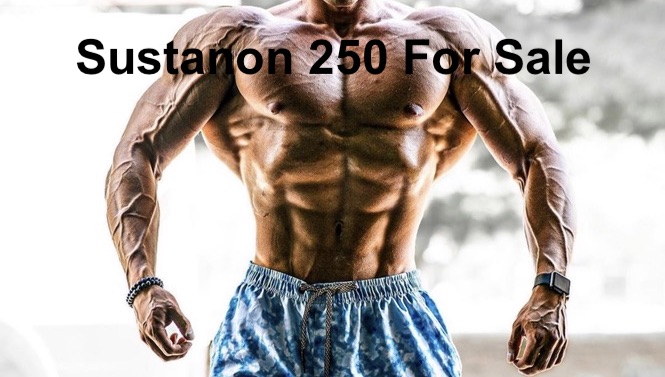 Sustanon-250-for-sale-cyclegear